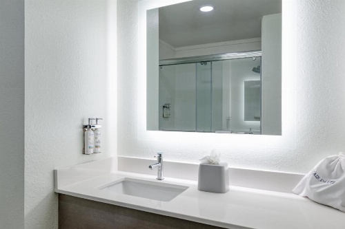 Holiday Inn Express Hotel & Suites Columbia-I-20 at Clemson Road image 28